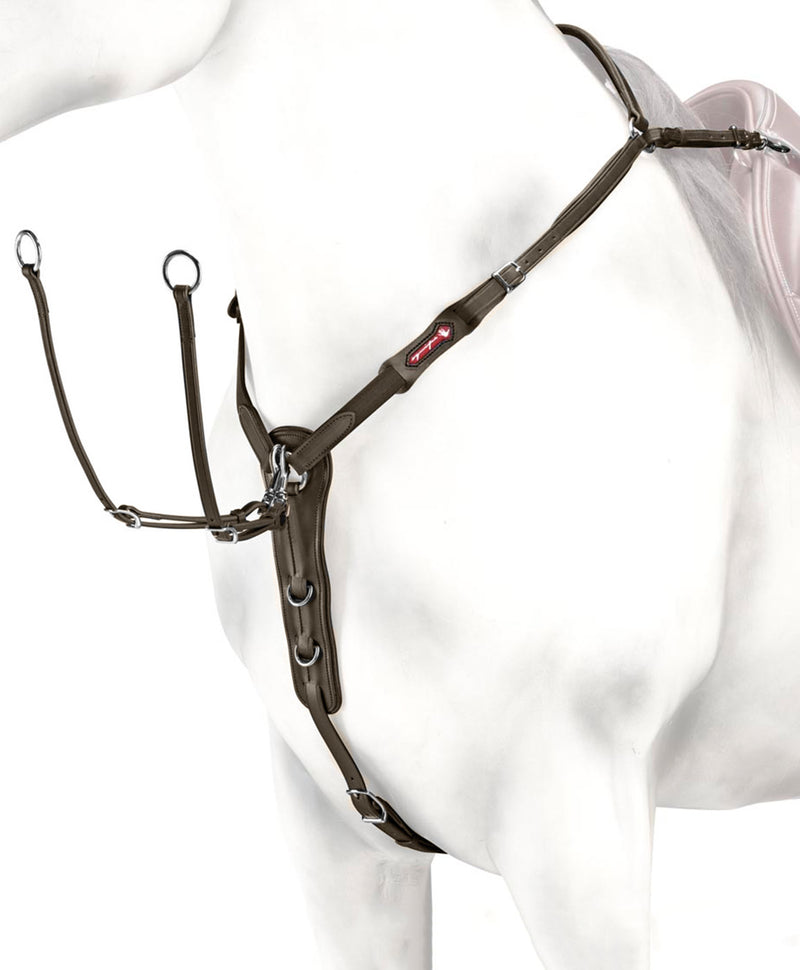 Pettorale In Cuoio Imbottito Con Martingala Removibile: Pony, Marrone - Foto 12